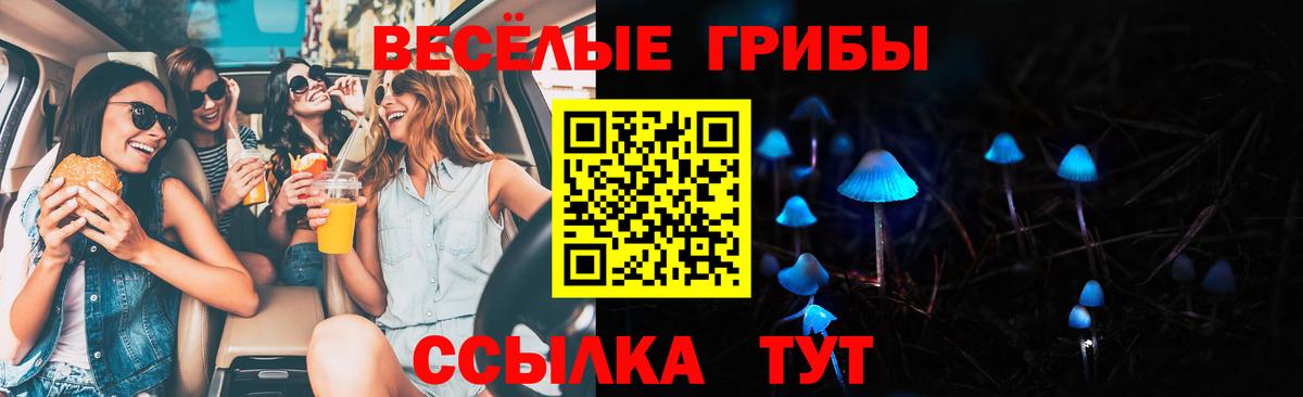 Междуреченск  Псилоцибиновые грибы MAGIC MUSHROOMS  Псилоцибиновые грибы мицелий  Вход с VPN 